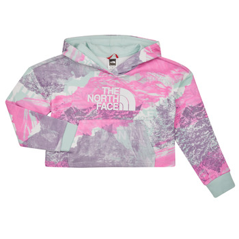 Textil Rapariga Sweats The North Face Girls Drew Peak Light Hoodie Multicolor