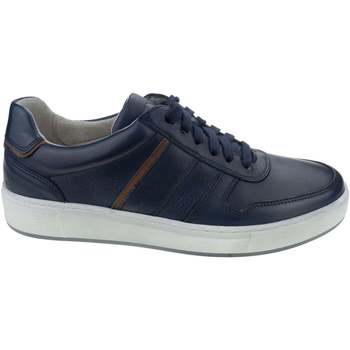 Sapatos Homem Sapatilhas Pius Gabor 1040.13.02 Azul