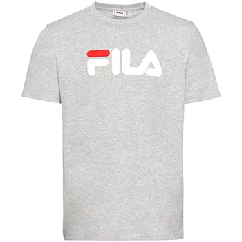 Textil Homem T-shirts e Pólos Fila  Cinza