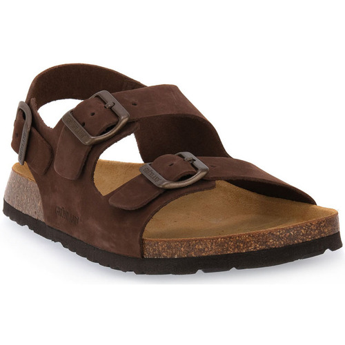 Sapatos Chinelos Grunland MARRONE 40BOBO Castanho