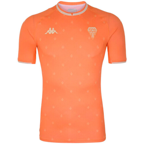 Textil Homem T-shirts e Pólos Kappa  Laranja