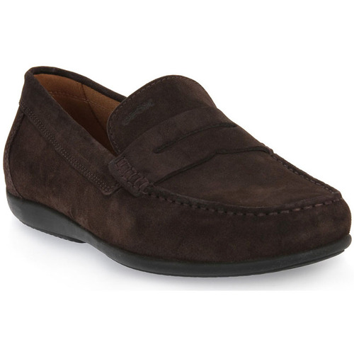 Sapatos Homem Mocassins Geox 6006 U ASCANIO BROWN Castanho