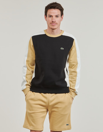 Textil Homem Sweats Lacoste SH1299 Preto / Bege