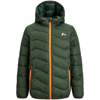 Textil Rapaz Casacos  Jack & Jones 12236560 HYPE-MOUNTAIN VIEW Verde