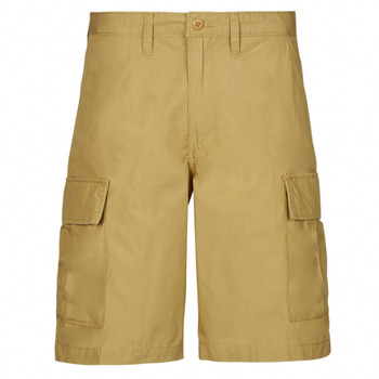 Textil Homem Shorts / Bermudas Vans SERVICE CARGO RELAXED SHORT Bege