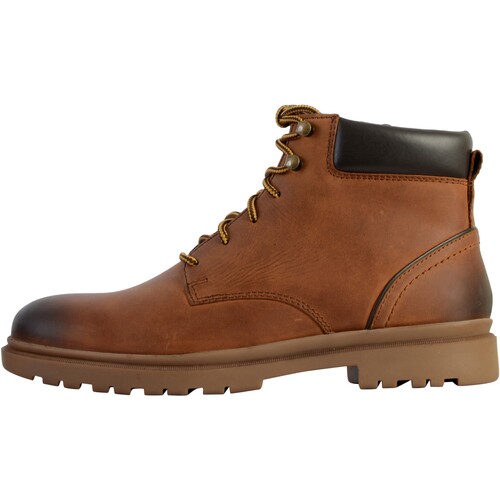 Sapatos Homem Botas baixas Geox 244839 Castanho