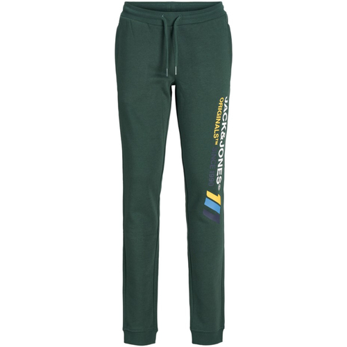 Textil Rapaz Calças Jack & Jones 12217064 JPSTNATE SWEAT PANTS JNR TREKKING GREEN Verde