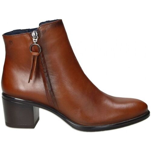 Sapatos Mulher Botins Dorking D8606 Castanho