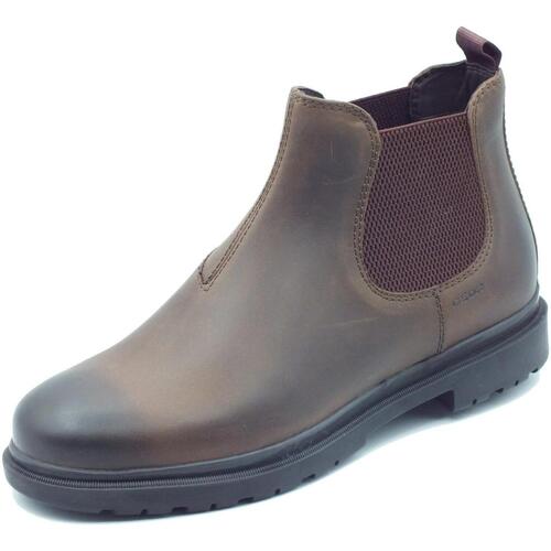 Sapatos Homem Botas baixas Geox U16DDA Andalo Coffee Castanho