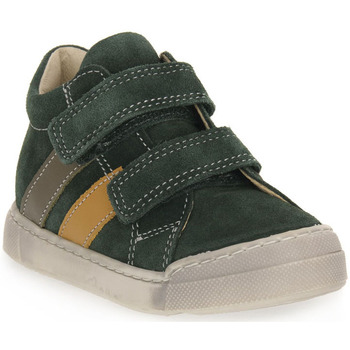 Sapatos Rapaz Sapatilhas Falcotto 2F19 GAZER VL Verde