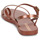 Sapatos Mulher Sandálias Ipanema FASHION SAND VIII  FEM Castanho / Bronze