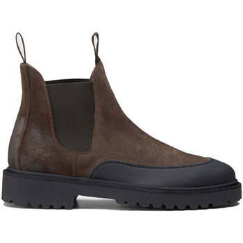 Sapatos Homem Botas Doucal's  Castanho