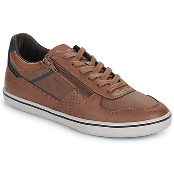 Sapatos Homem Sapatilhas Geox U ELVER Castanho