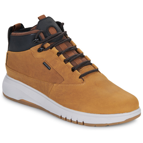 Sapatos Homem Botas baixas Geox U AERANTIS 4X4 B ABX Castanho