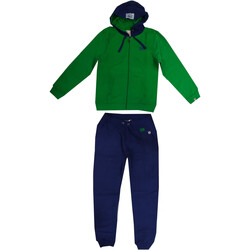 Textil Homem Todos os fatos de treino Leone LSM869+PANT Verde