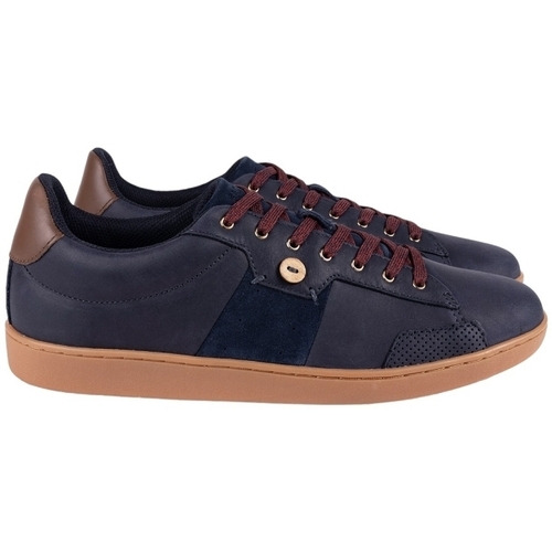 Sapatos Homem Sapatilhas Faguo HOSTA LEATHER SUEDE Azul