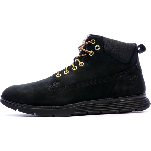 Sapatos Homem Sapatilhas de cano-alto Timberland  Preto