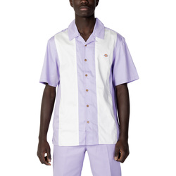 Textil Homem Camisas mangas curtas Dickies WESTOVER SS DK0A4Y7M Violeta