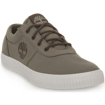 Sapatos Homem Sapatilhas Timberland ER9 MYLO BAY LOW Cinza