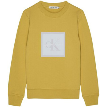 Textil Criança Sweats Calvin Klein Jeans  Amarelo