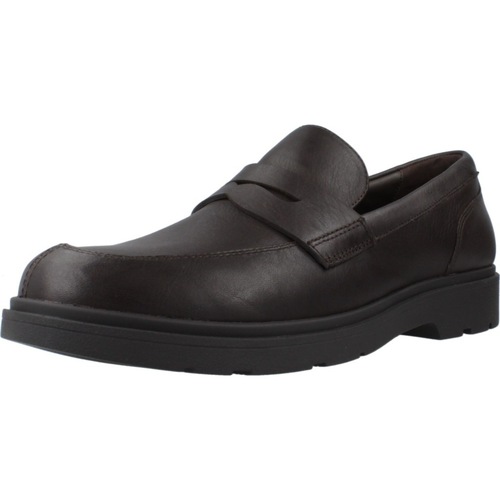 Sapatos Homem Mocassins Geox U SPHERICA EC1 Castanho