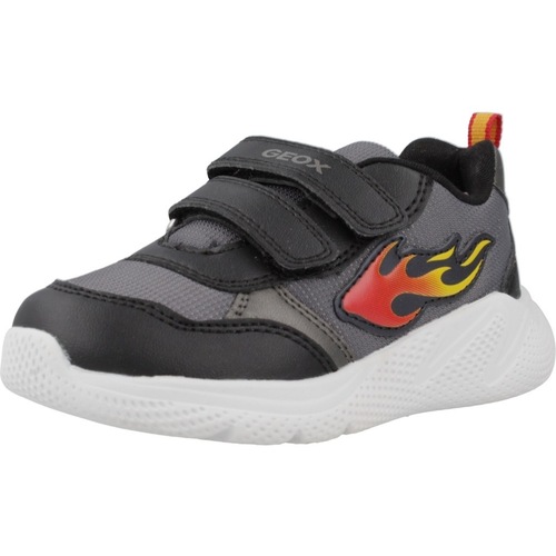 Sapatos Rapaz Sapatilhas Geox B SPRINTYE BOY Cinza