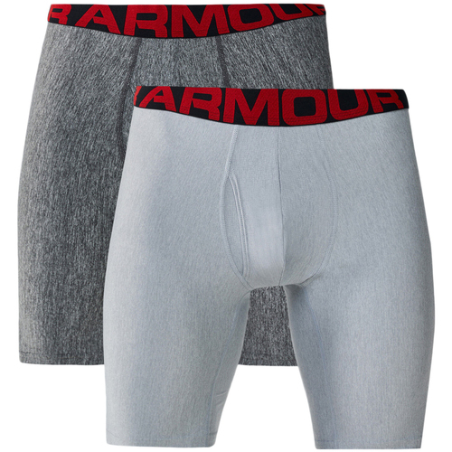 Roupa de interior Homem Boxer Under Armour  Cinza