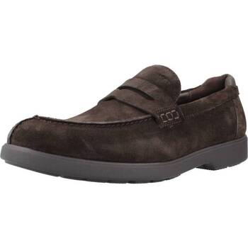 Sapatos Homem Mocassins Geox U SPHERICA EC11 Castanho