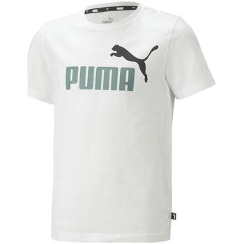 Textil Rapaz T-shirts e Pólos Puma  Branco