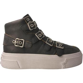 Sapatos Mulher Sapatilhas Ash  Preto