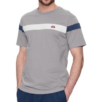 Textil Homem T-shirts e Pólos Ellesse  Cinza