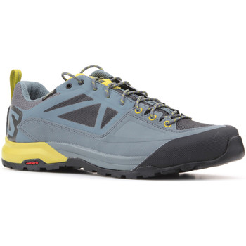 Sapatos Homem Sapatos de caminhada Salomon Trekking shoes  X Alp SPRY GTX 401621 Multicolor