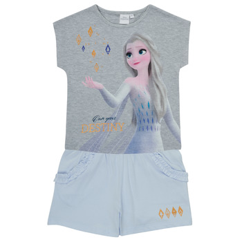 Îmbracaminte Fete Compleuri copii  TEAM HEROES  FROZEN SET Multicolor