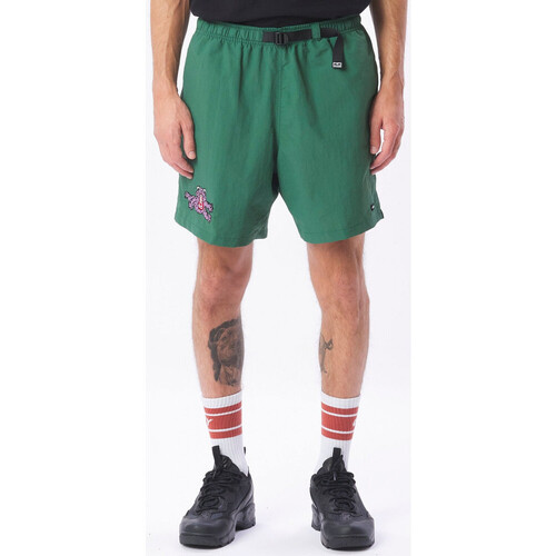 Îmbracaminte Bărbați Pantaloni scurti și Bermuda Obey Hang out web belt short verde