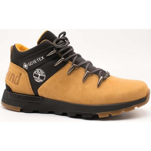 Pantofi Bărbați Pantofi sport stil gheata Timberland  Bej