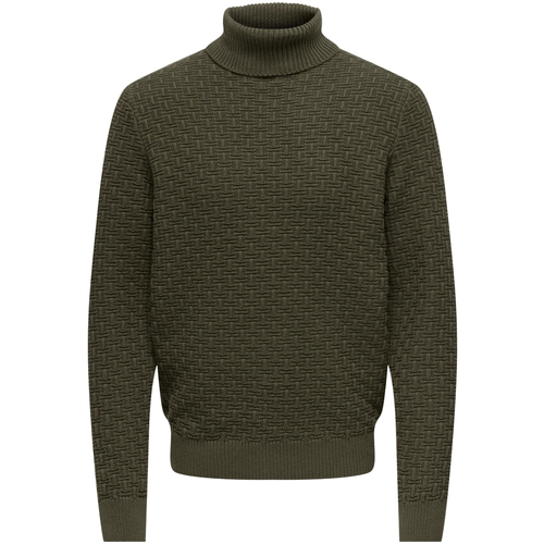 Îmbracaminte Bărbați Jerseuri și Cardigane Only & Sons  ONSKAY REG ROLL NECK KNIT 22023177 Maro