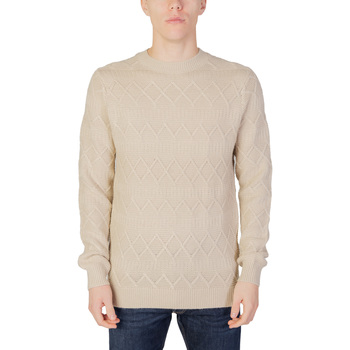 Îmbracaminte Bărbați Pulovere Only & Sons  ONSWADE REG 5 STRUC CREW NECK KNIT 22027159 Bej