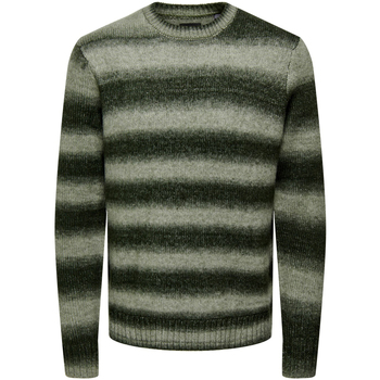 Îmbracaminte Bărbați Pulovere Only & Sons  ONSMARCEL REG 3 GRADIENT CREW KNIT 22027155 verde