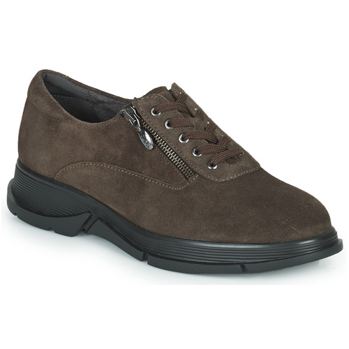 Skor Dam Sneakers Scholl BRISTOL ZIP Brun