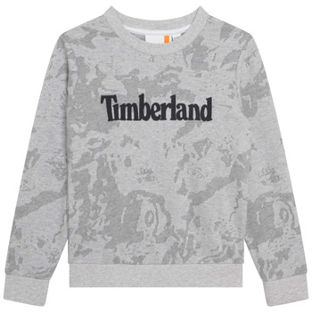 textil Pojkar Sweatshirts Timberland T25U10-A32-C Grå