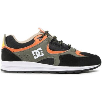 Skor Herr Sneakers DC Shoes ADYS100291 Flerfärgad