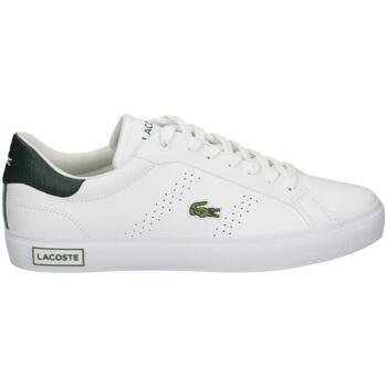 Skor Herr Sneakers Lacoste  Vit