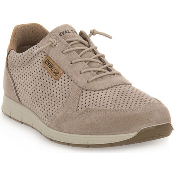 Skor Herr Sneakers Enval SANDERO BEIGE Beige