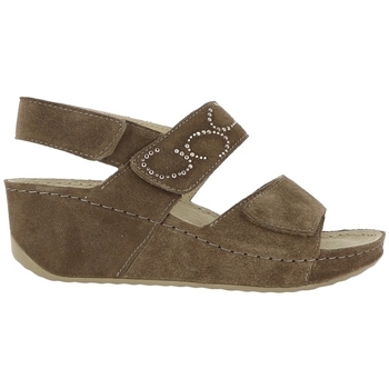 Skor Dam Sandaler Scholl ABERDEEN WEDGE Beige