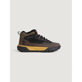 Skor Herr Sneakers Timberland MID LACE TB0A6CW1EJC Brun