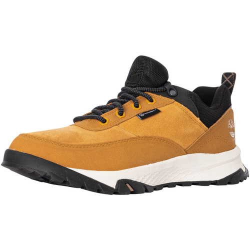 Skor Herr Sneakers Timberland Lincoln Peak Lite tränare Brun