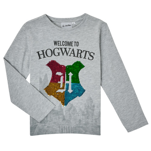 Oblačila Dečki Majice z dolgimi rokavi TEAM HEROES  T-SHIRT HARRY POTTER Siva