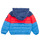 Oblečenie Chlapec Vyteplené bundy Levi's COLOR BLOCK PUFFER  Viacfarebná