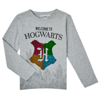 TEAM HEROES  T-SHIRT HARRY POTTER