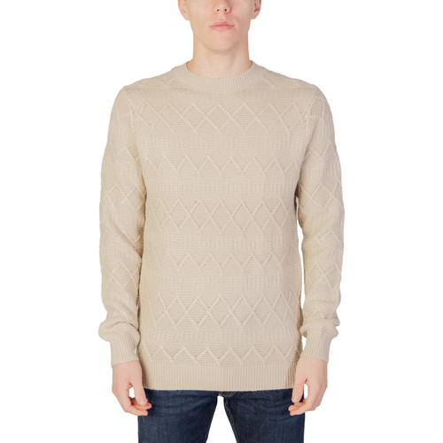 Oblečenie Muž Svetre Only & Sons  ONSWADE REG 5 STRUC CREW NECK KNIT 22027159 Béžová